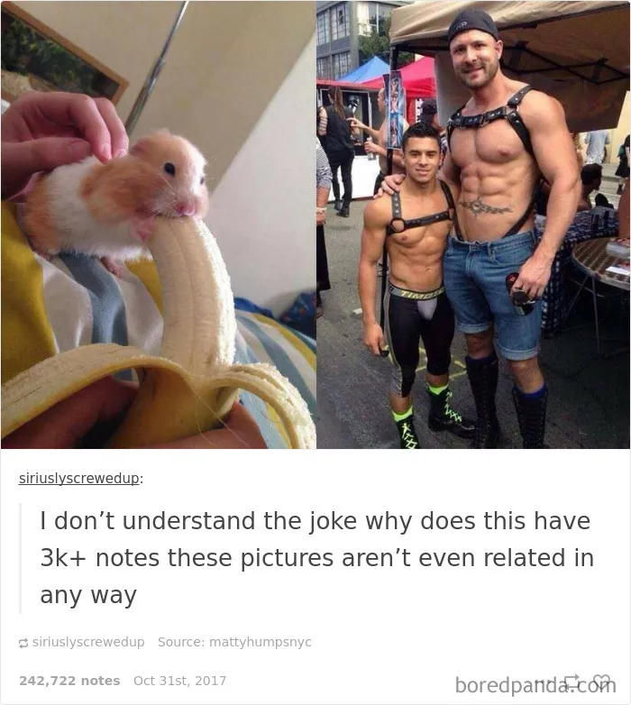 27 Times People Were Too Innocent For The Internet