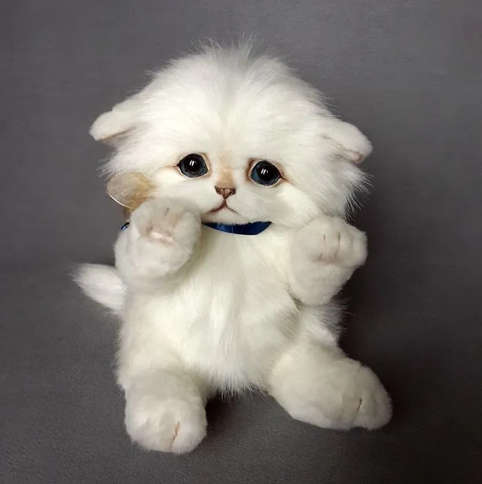 Amazing Warming Tenderness: 20 Furry Puppies, Kittens And Foxcubs Straight From Siberia