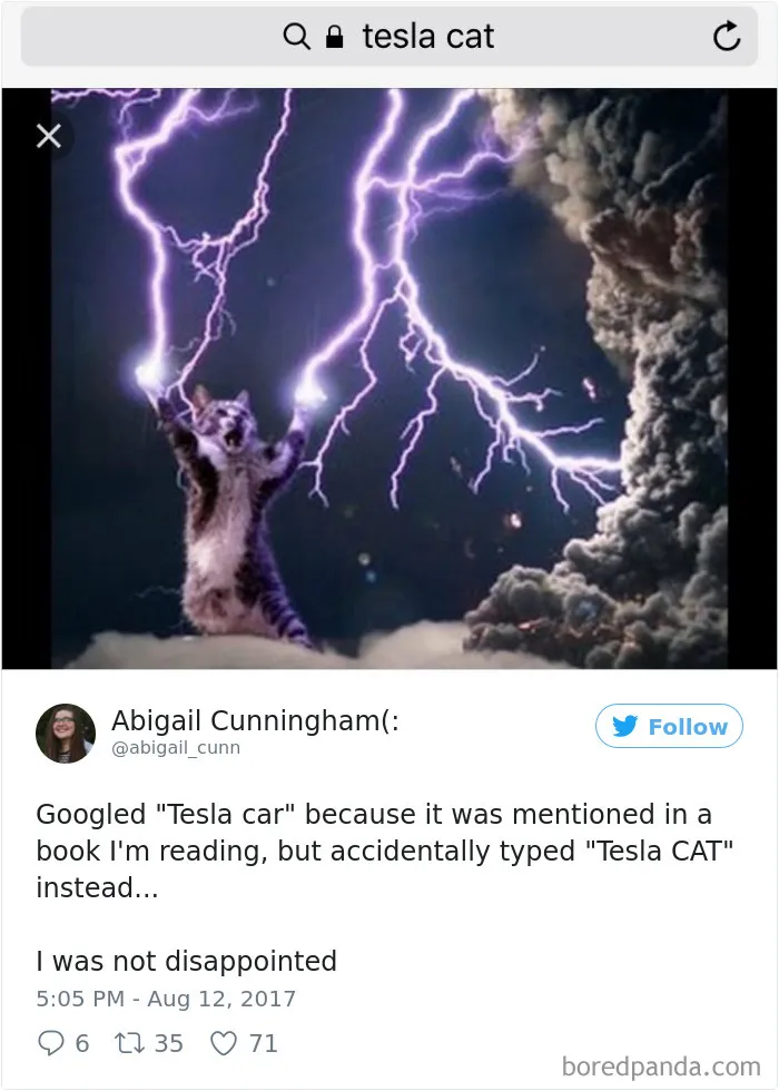 120 Times People Accidentally Googled The Wrong Thing, And The Results Were Hilarious