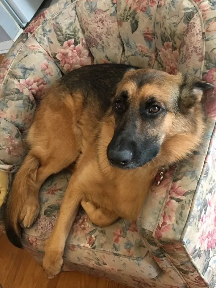 I Got Up So Use The Bathroom And She Stole My Seat.
