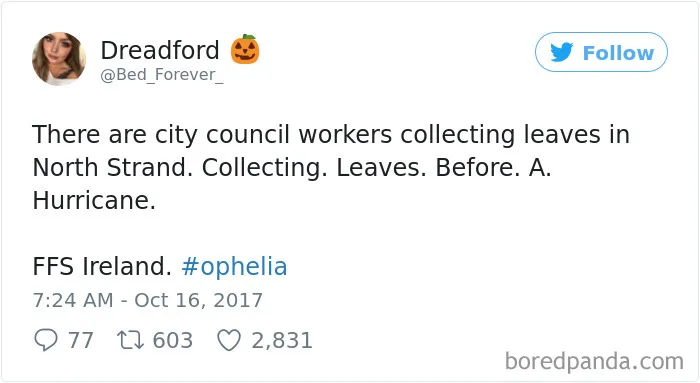 114 Hilarious Reactions To Hurricane Ophelia By Irish People That Prove They're The Craziest Country Ever