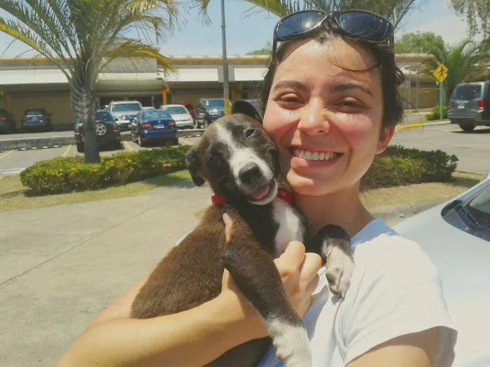 Betún, 5 Minutes After We Adopted Him.