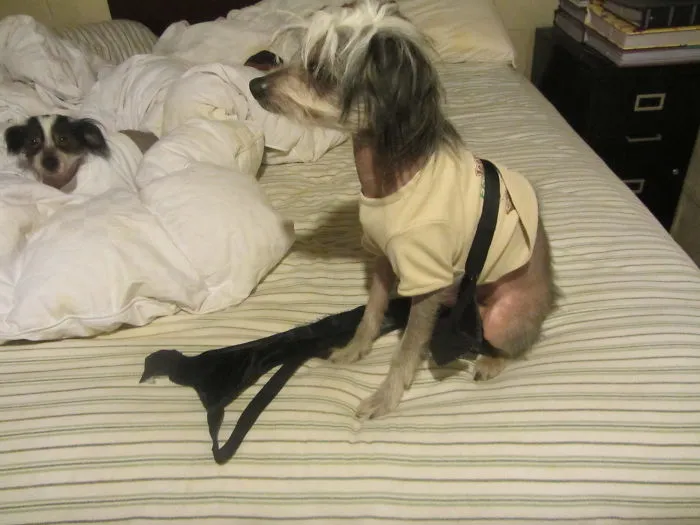That Bra Is Too Big For You