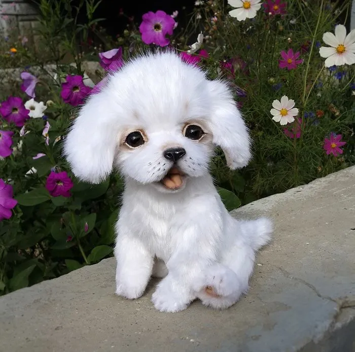Amazing Warming Tenderness: 20 Furry Puppies, Kittens And Foxcubs Straight From Siberia