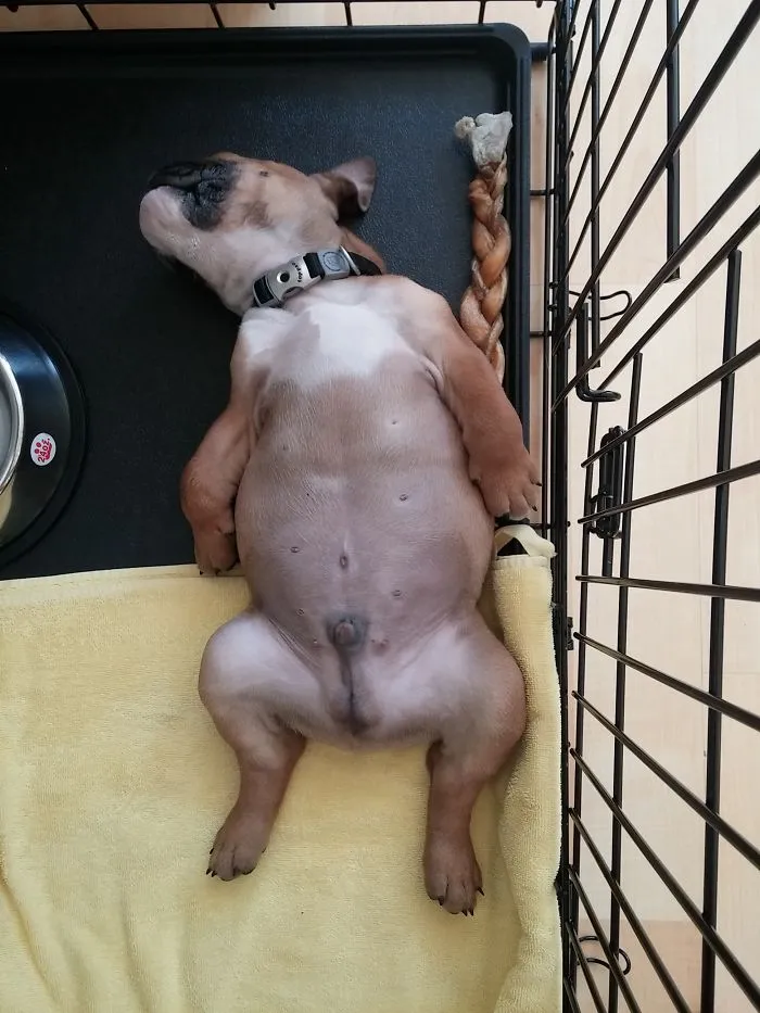 Just Taking A Nap