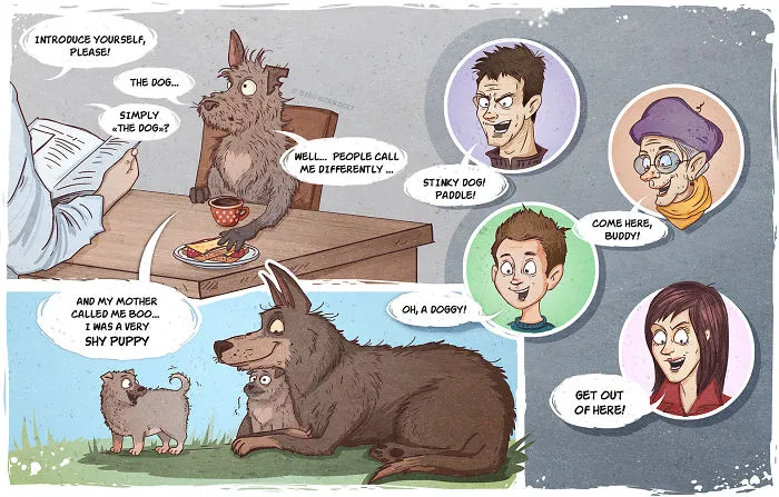About Stray Dog