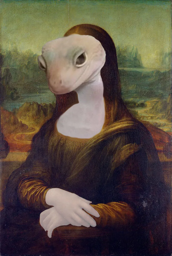 The Gecko Lisa