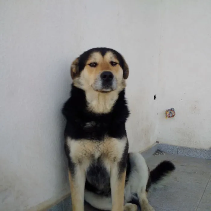 That Precious Daf*k U Want Face When I Am Not Playing With Him...