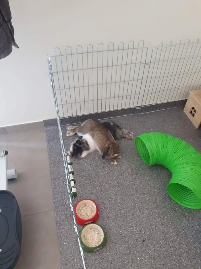 Not Enough Space.