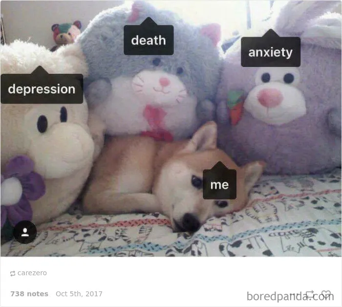 119 Pics About Anxiety That Will Make You Laugh, Then Cry