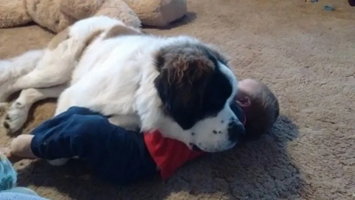 Baby? No. Pillow.