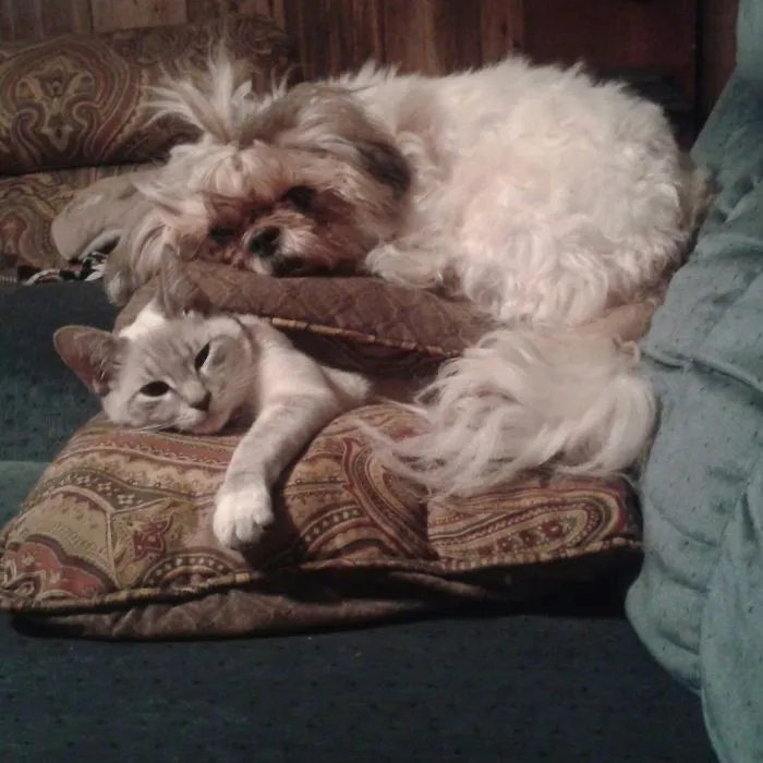 Daisy & Belle