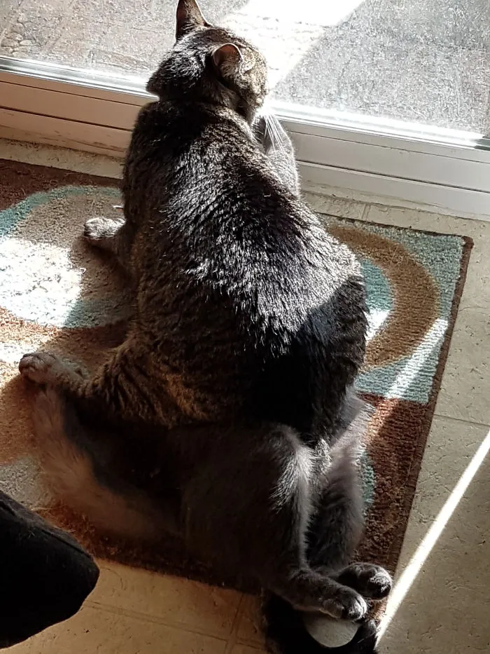 Well She Wouldn't Move Out Of His Spot