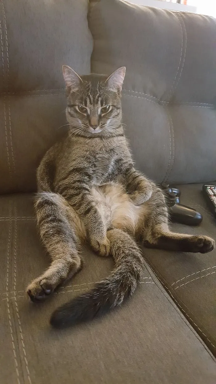 Wut?