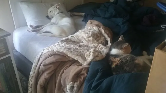 So Much For Making The Bed.