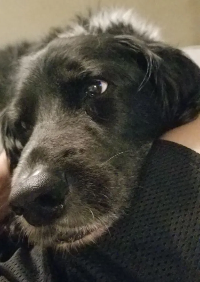 My Boy Missed Me