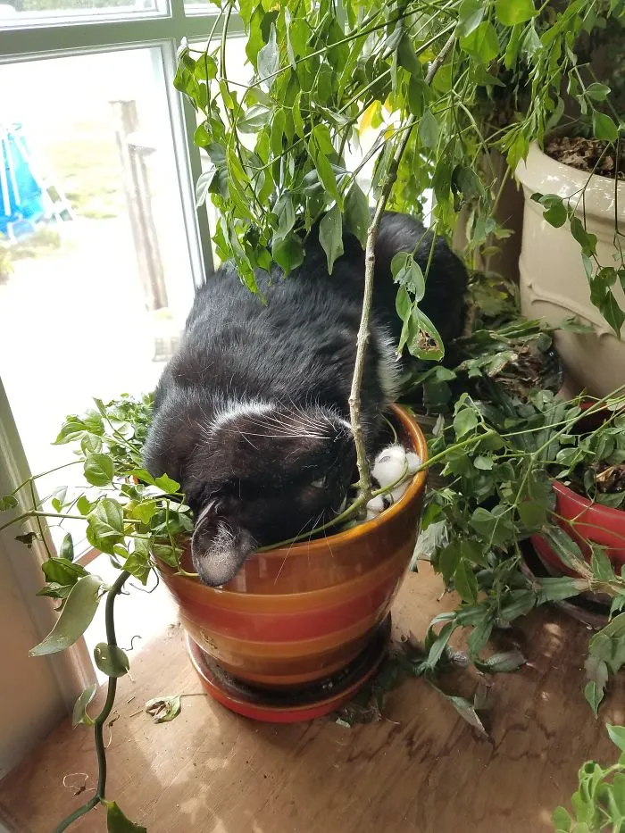 Just Add Water