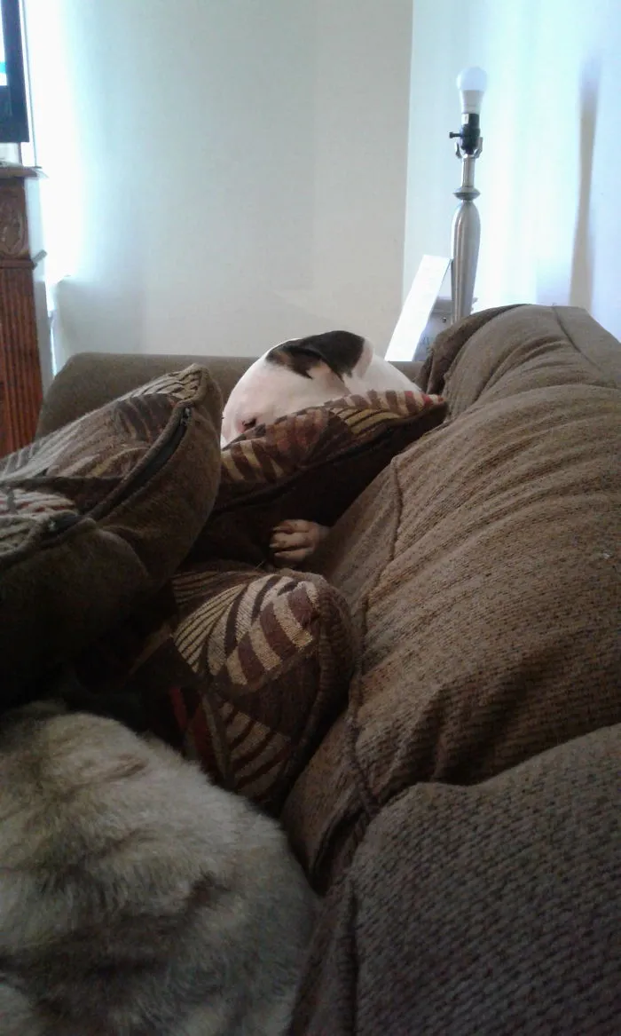 Just Chilling!