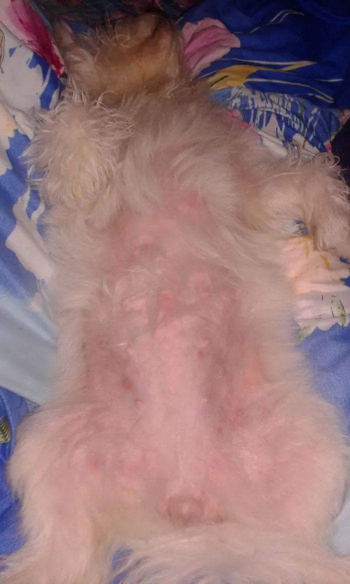 Sleeping Baby Girl