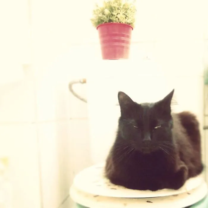 You. Can. Piss. In. The. Tub. Thanks. Batman.