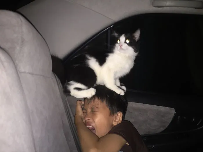 Four Wheels Doesn’t Scare Me, Hoooman