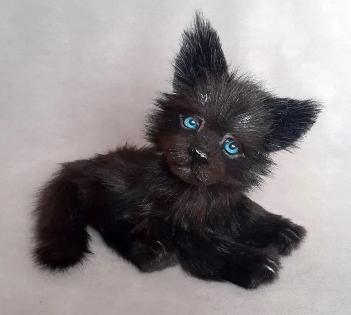 Amazing Warming Tenderness: 20 Furry Puppies, Kittens And Foxcubs Straight From Siberia