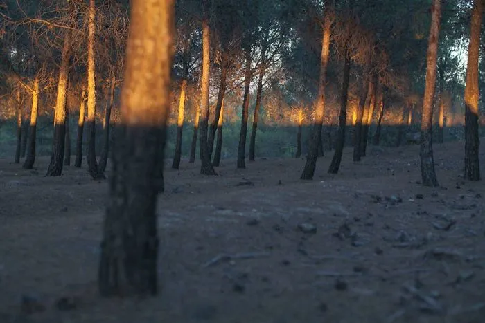 The Coincidence Project: 53 Photos That Will Make You Look Twice