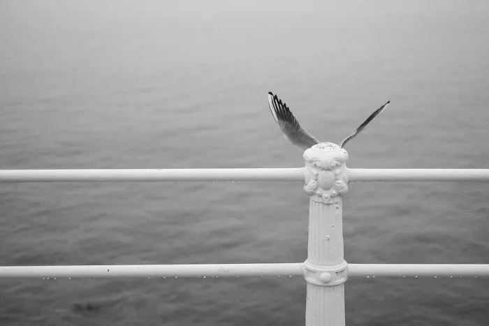 The Coincidence Project: 53 Photos That Will Make You Look Twice