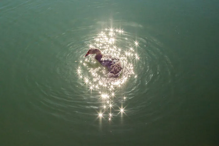 The Coincidence Project: 53 Photos That Will Make You Look Twice