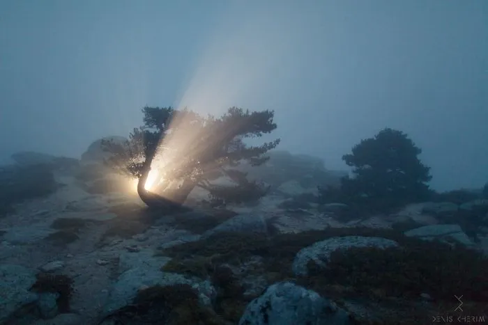 The Coincidence Project: 53 Photos That Will Make You Look Twice