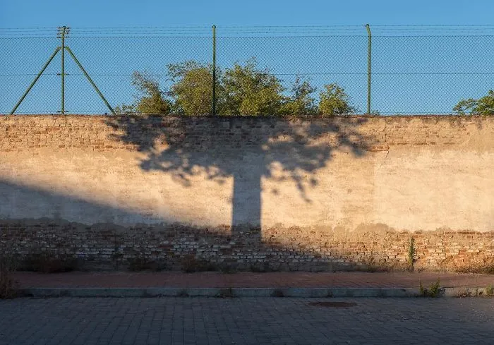 The Coincidence Project: 53 Photos That Will Make You Look Twice