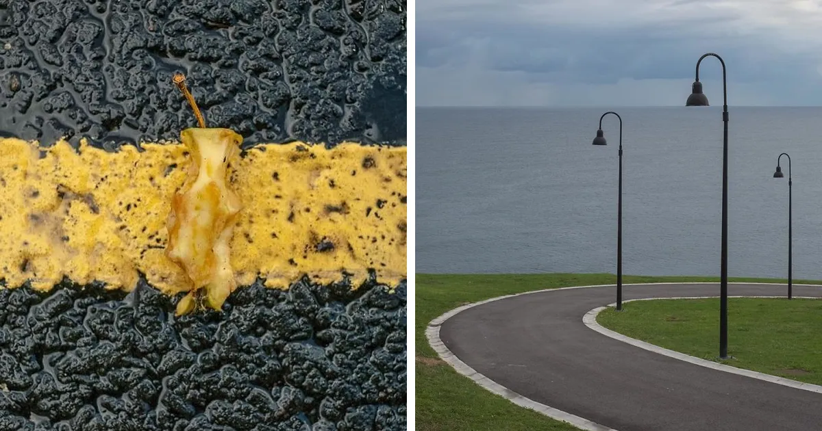 Proyecto Coincidencia: 40 fotos que tendrás que mirar 2 veces