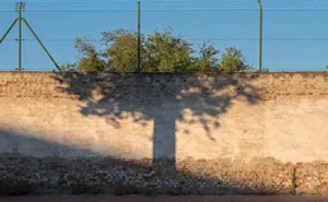 The Coincidence Project: 53 Photos That Will Make You Look Twice