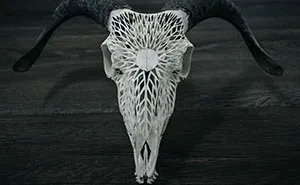 After Being Arrested For Drugs This Man Started Carving Skulls And Turned His Life Around