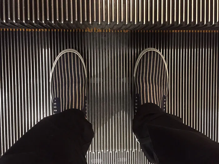 The Perfect Shoes