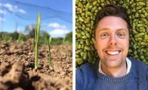 I've Spent 1 Year Growing My Own Beer
