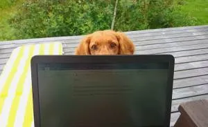 My Friend's Dog's Way Of Communication Is Making Me Laugh