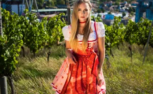 The Pattern Of This Dirndl Is Made Out Of Meat And Sausages
