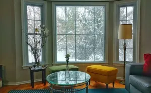 The Four Seasons Through My Living Room