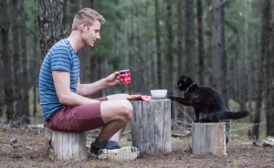 2,5 Years Ago, I Quit My Job And Sold Everything To Travel With My Cat Willow In A Campervan