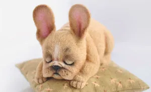 Russian Artists Create Adorable Felted Dogs That Have Their Own Characters