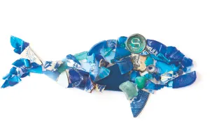 We Create Art From Trash