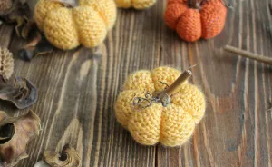 Knitting A Sweet Pumpkin Home Decor In 30 Minutes