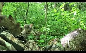 Friendly Deer Interrupts Turkey Hunters