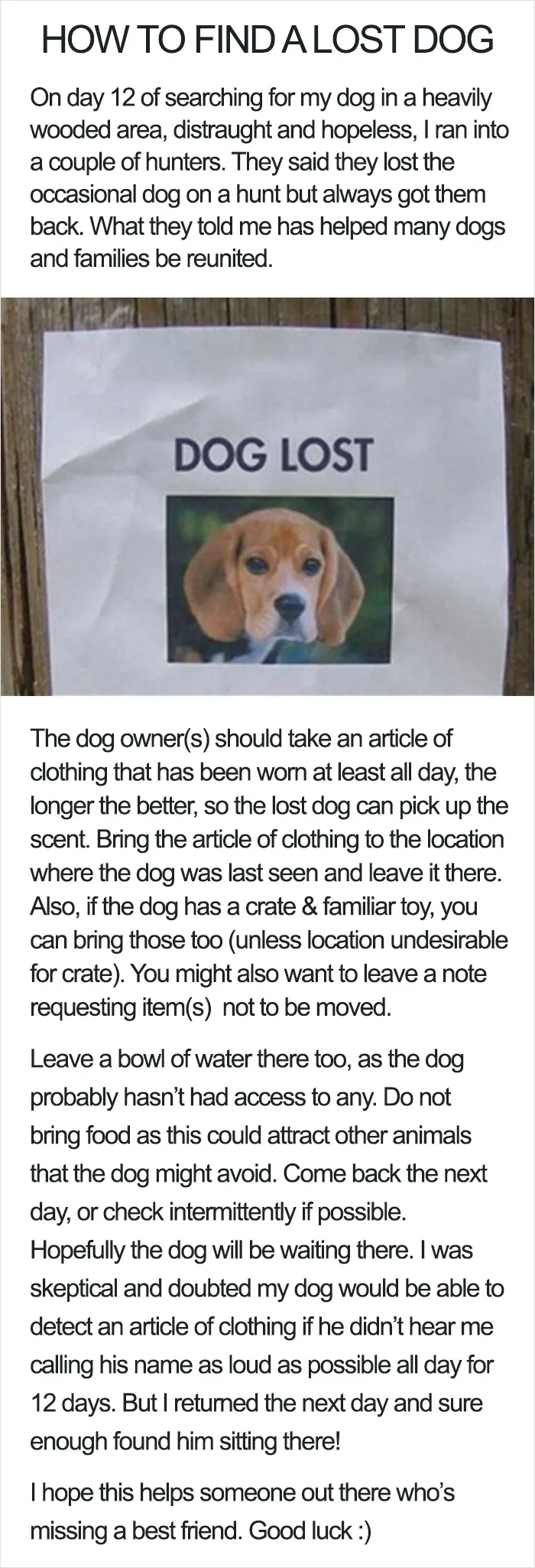 Lost Your Dog?