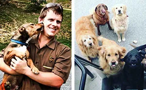 Turns Out, UPS Drivers Have A Facebook Group About Dogs They Meet On Their Routes, And It Will Make Your Day
