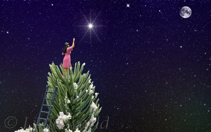 Reaching The Stars