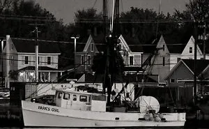 Chincoteague Life (Life On An Atlantic Island)