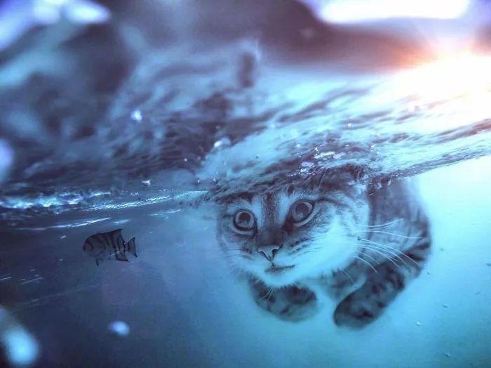 Imagino un mundo con animales gigantes en mis manipulaciones digitales
