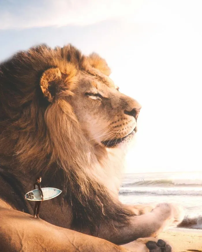 Imagino un mundo con animales gigantes en mis manipulaciones digitales